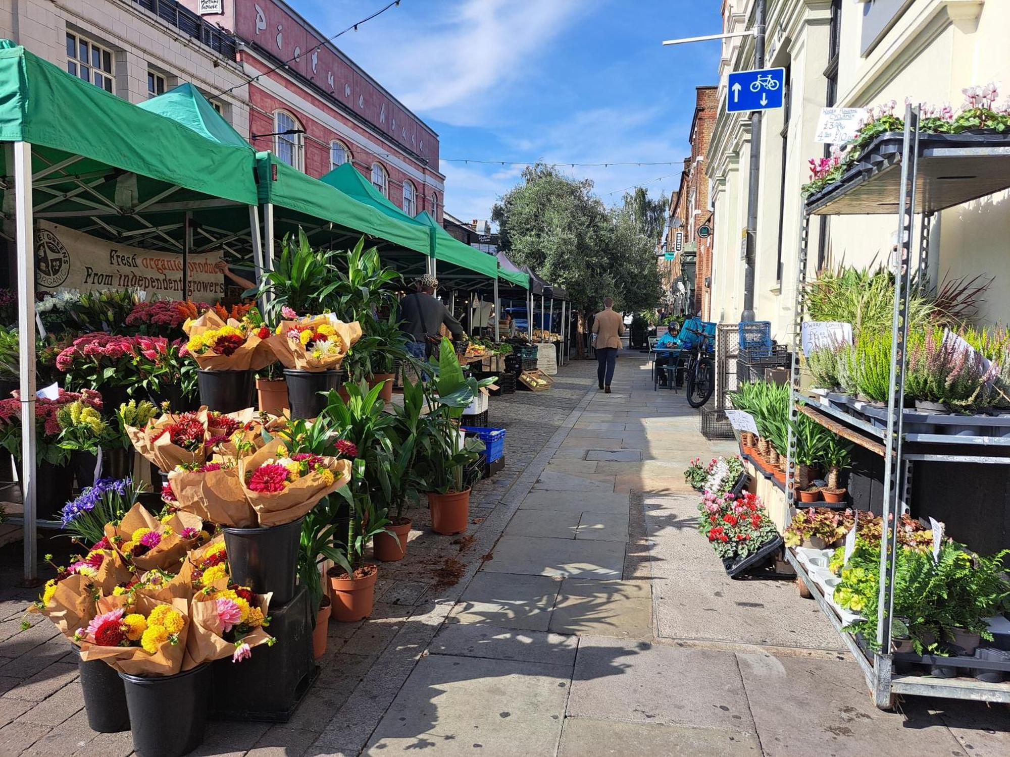Clapham Serenity Garden Retreat With Free Parking Londen Buitenkant foto